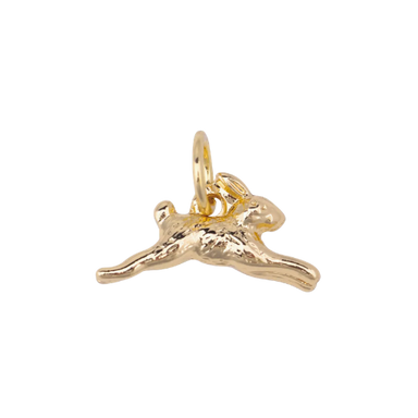 Lucky Rabbit Charm